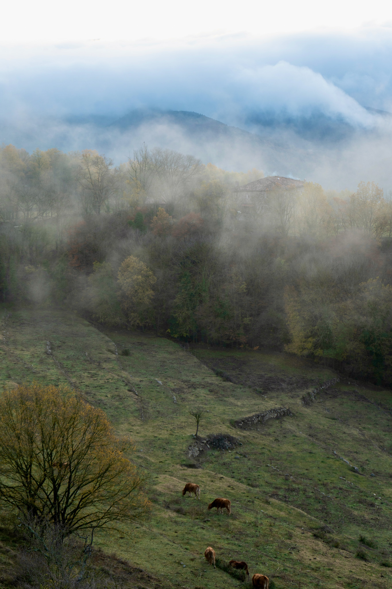 Mas El Mir Hotel in Ripoll