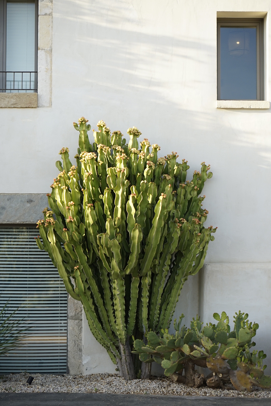 Mas-Lazuli-Costa-Brava